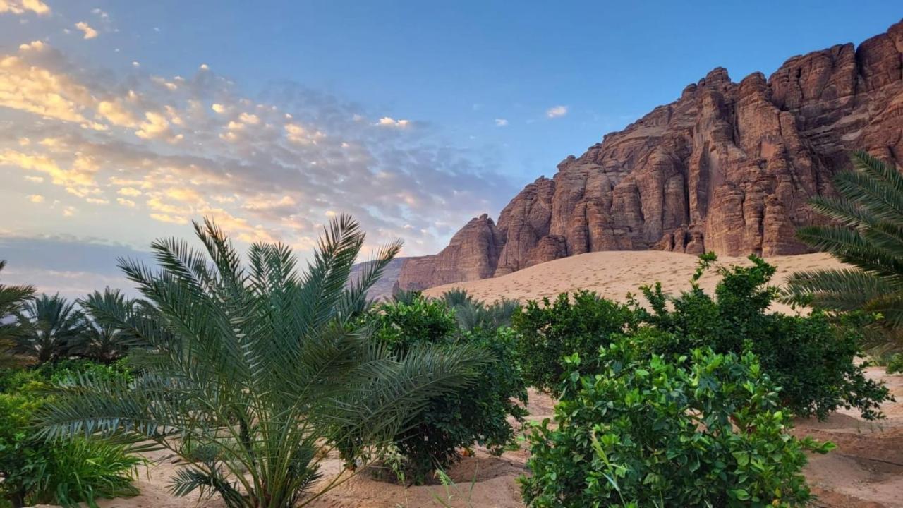 الجوهرة Diamond Plus Villa Al Ula Bagian luar foto