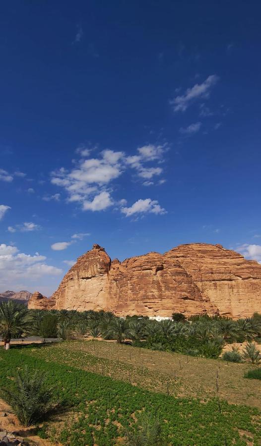 الجوهرة Diamond Plus Villa Al Ula Bagian luar foto
