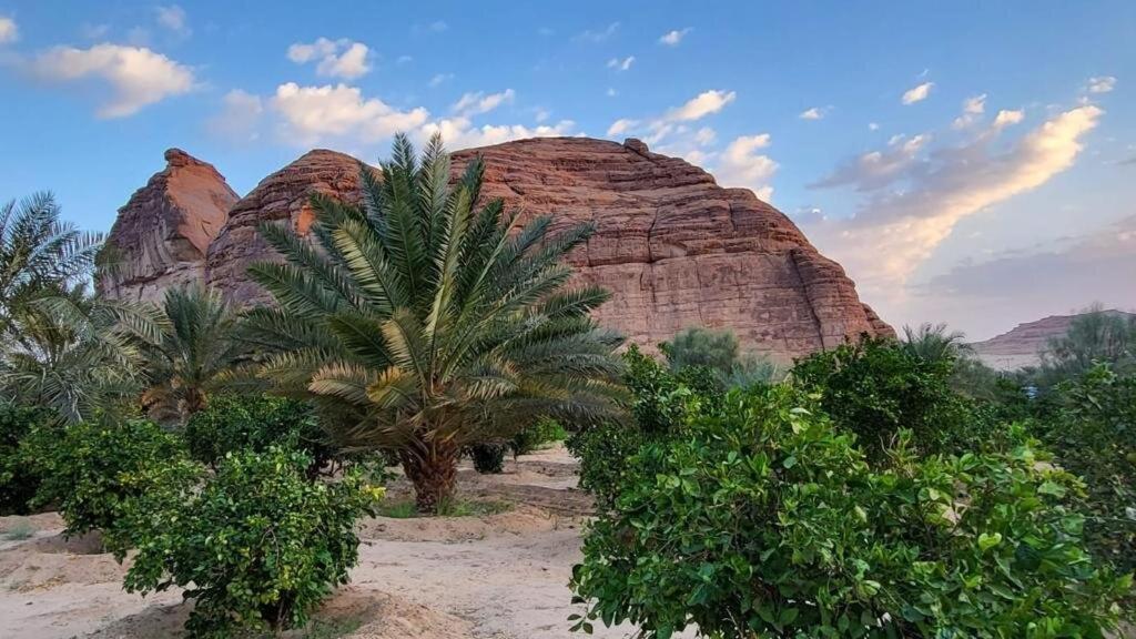 الجوهرة Diamond Plus Villa Al Ula Bagian luar foto