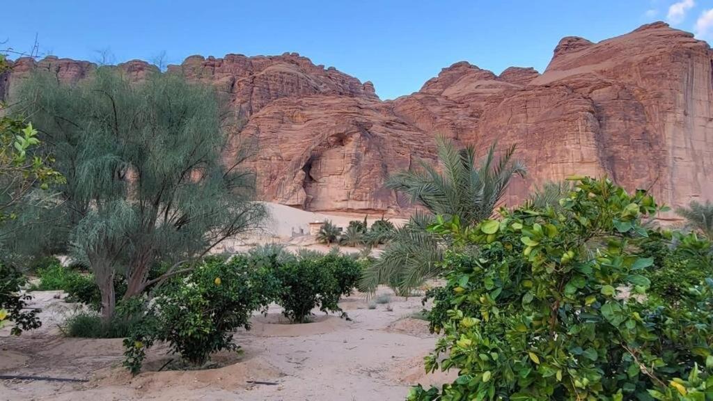 الجوهرة Diamond Plus Villa Al Ula Bagian luar foto
