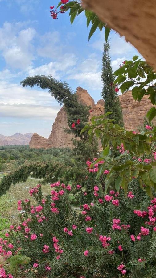 الجوهرة Diamond Plus Villa Al Ula Bagian luar foto